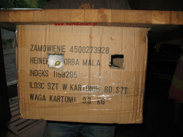 Czy ktoś zamawiał koty?!60szt w pudełku?;)